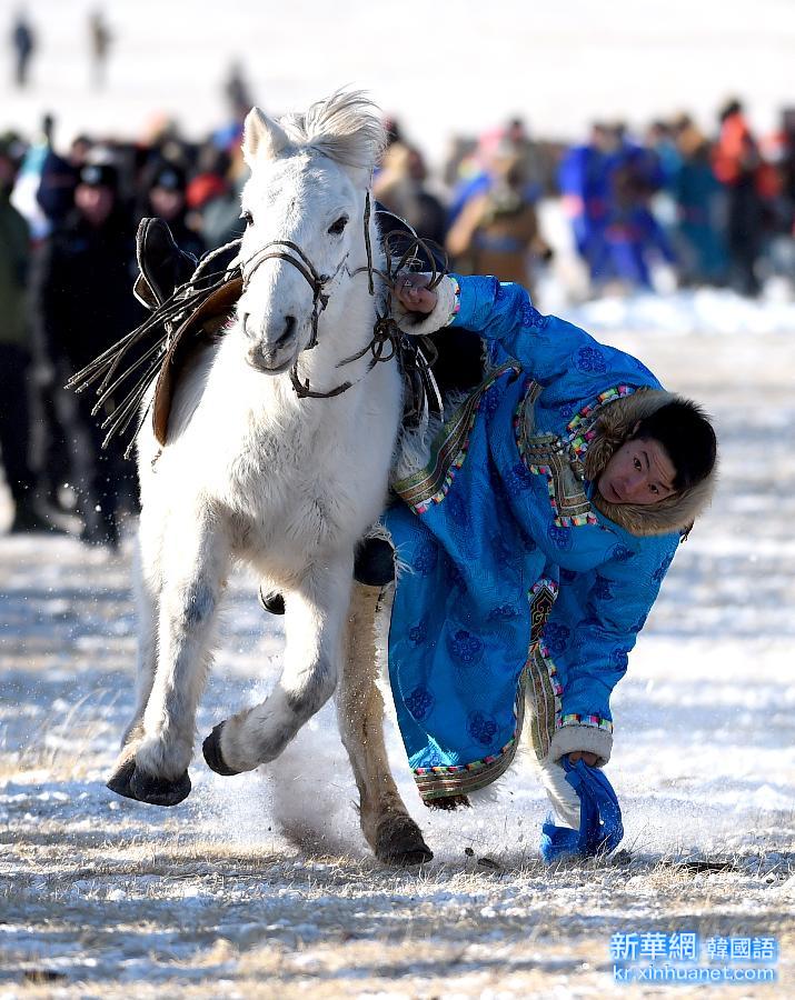 （体育）（5）“冰雪那达慕”展示草原马文化