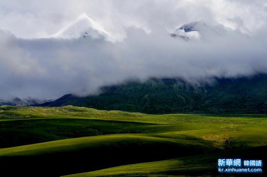 （XHDW）（3）西藏：高原生态系统总体趋好