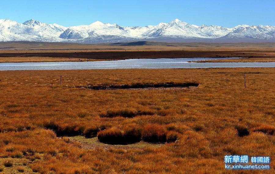 （XHDW）（6）西藏：高原生态系统总体趋好