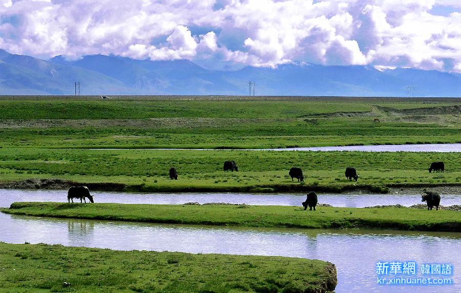 （生态）（1）西藏：高原生态系统总体趋好