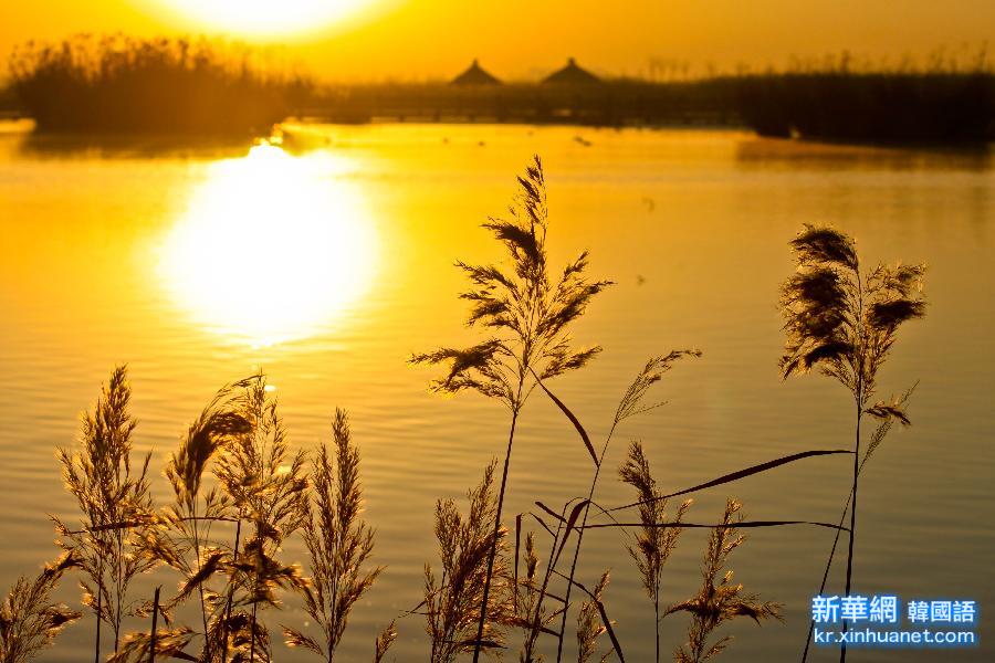 #（美丽中国）（5）甘肃张掖国家湿地保护区景色美