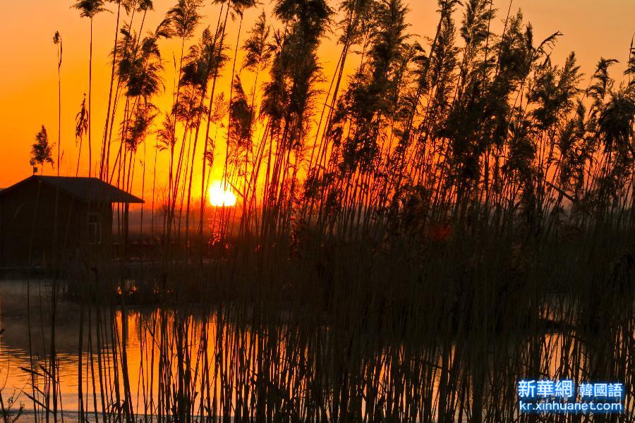 #（美丽中国）（7）甘肃张掖国家湿地保护区景色美