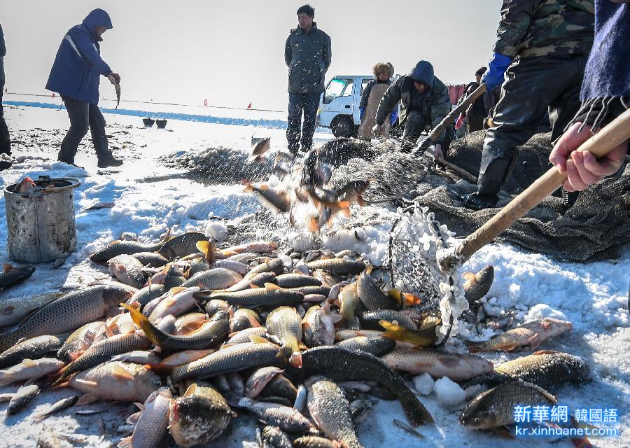 （社会）（5）到查干湖看渔工“冬捕” 