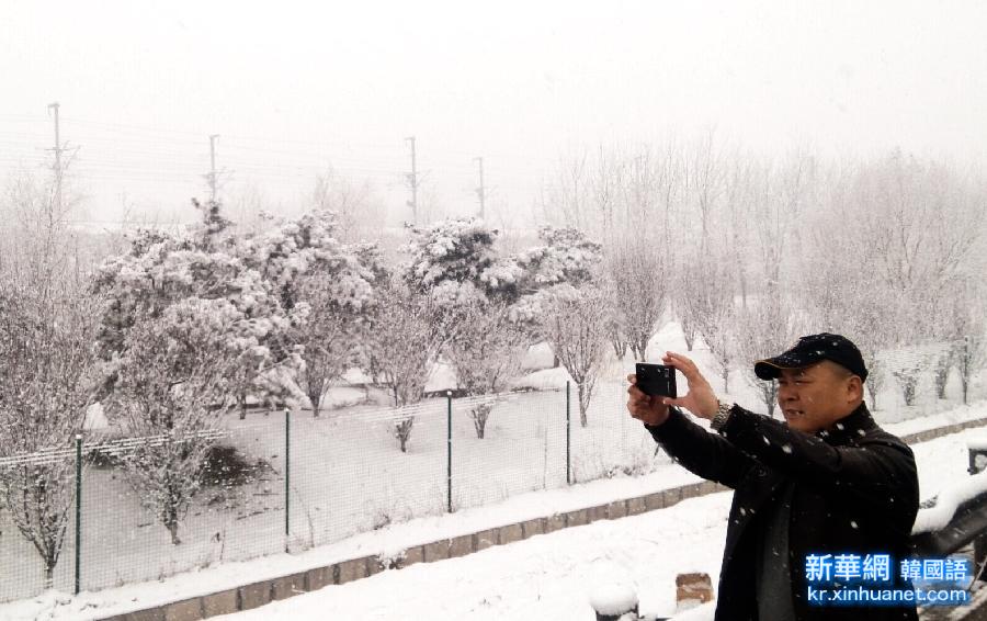 （生态）京城喜降瑞雪