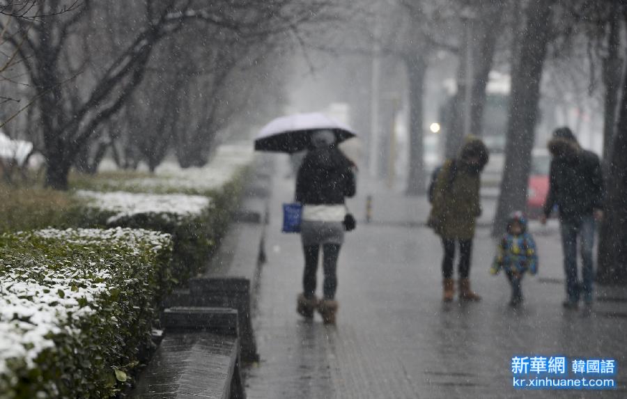 （生态）（2）京城喜降瑞雪