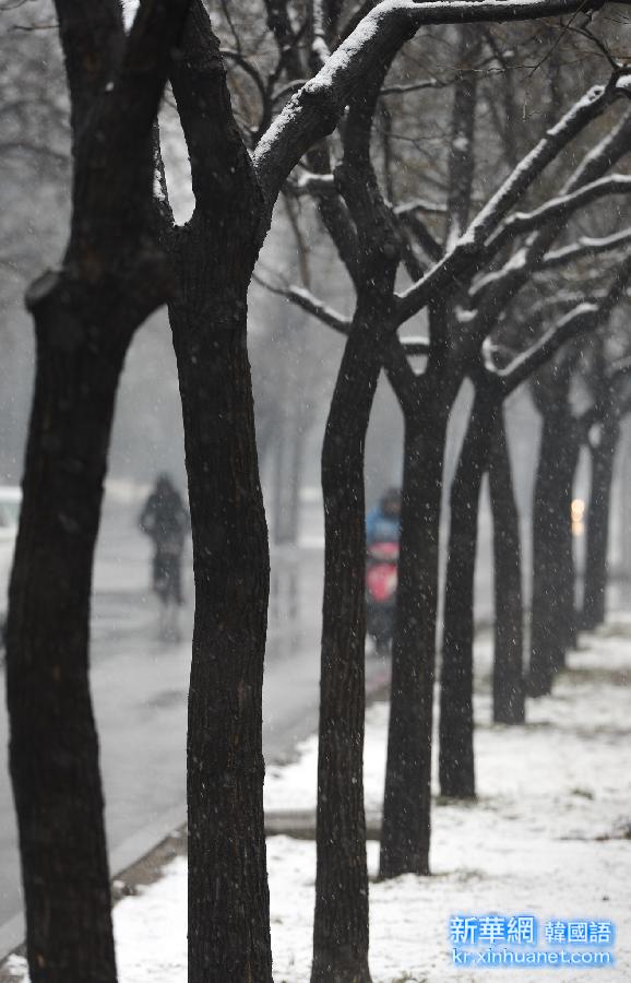 （生态）（3）京城喜降瑞雪