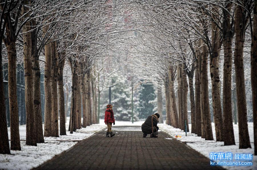 （生态）（6）京城喜降瑞雪