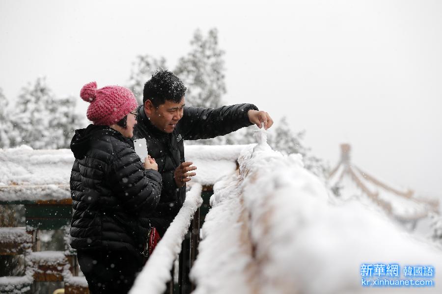 （生态）（8）京城喜降瑞雪