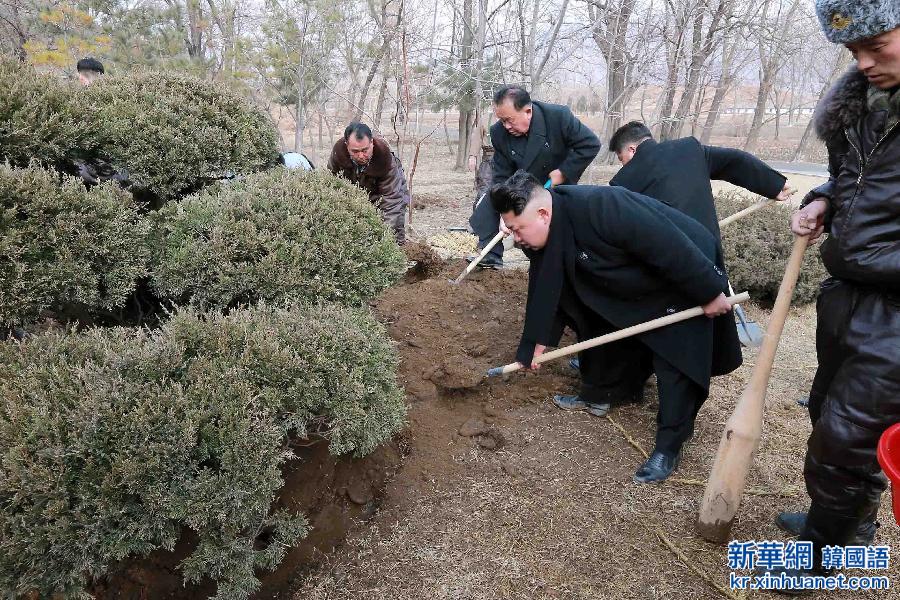 （国际）（2）金正恩与朝鲜人民军战斗飞行员一起植树