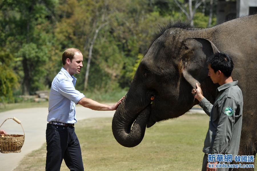 （XHDW）（2）威廉王子探访亚洲象种源繁育基地