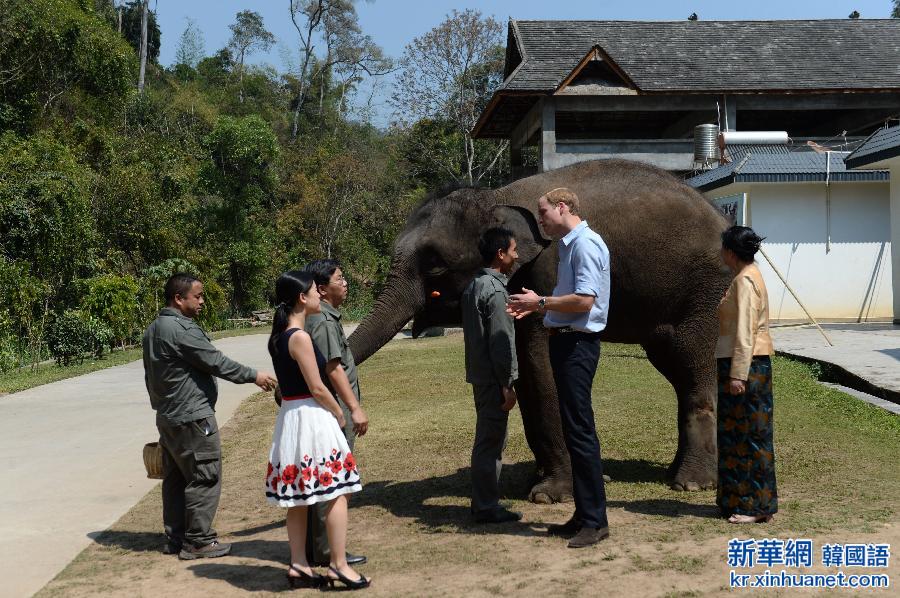（XHDW）（3）威廉王子探访亚洲象种源繁育基地