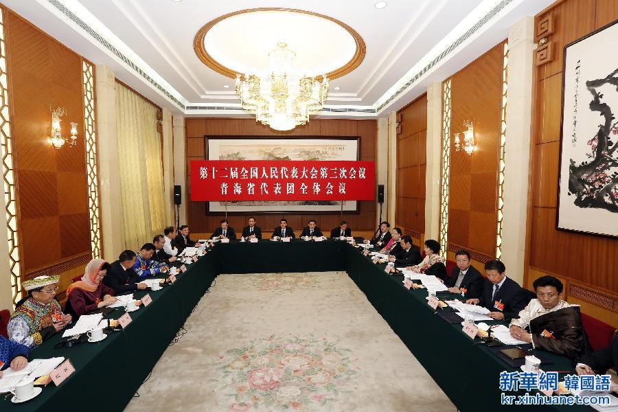 （两会）（1）青海省代表团全体会议向媒体开放