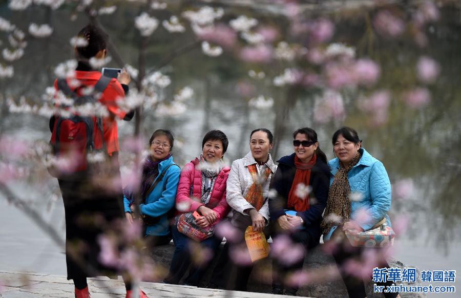（晚报）（1）北京玉渊潭公园第27届樱花节开幕