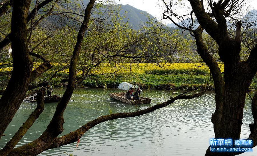 （生态）（3）汉中花海