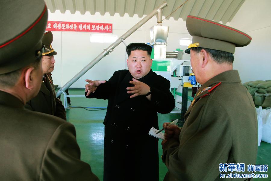 （国际）（2）金正恩视察朝鲜人民军新建鱼粉饲料厂
