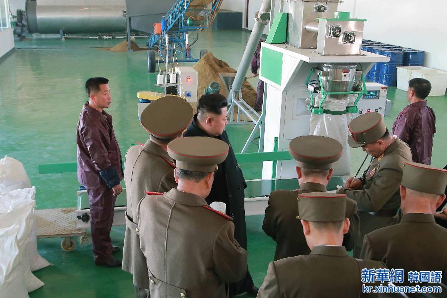 （国际）（3）金正恩视察朝鲜人民军新建鱼粉饲料厂