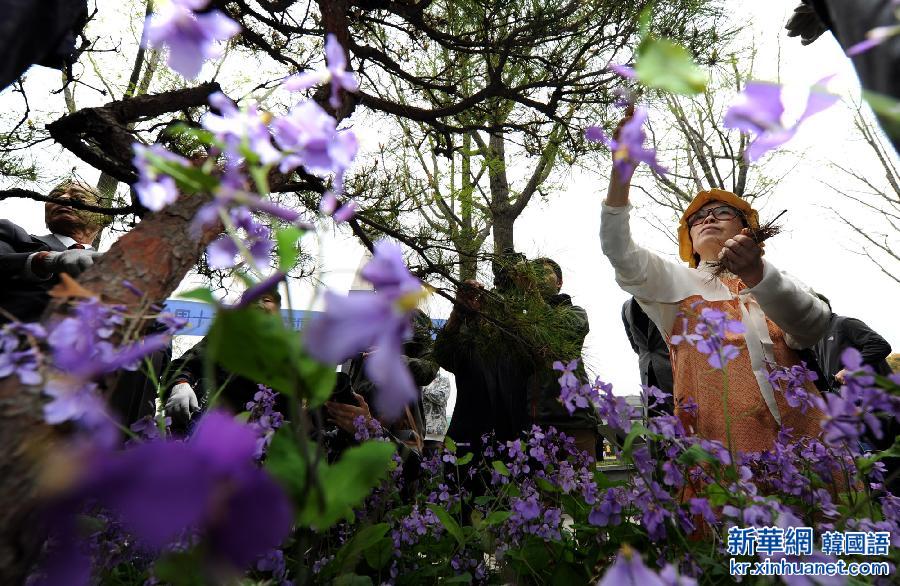 （城乡热点）（2）日本植树访华团持续30年悼念南京大屠杀遇难者