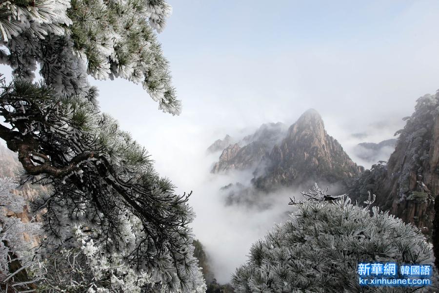 #（生态）（2）缤纷四月天 春雪落黄山