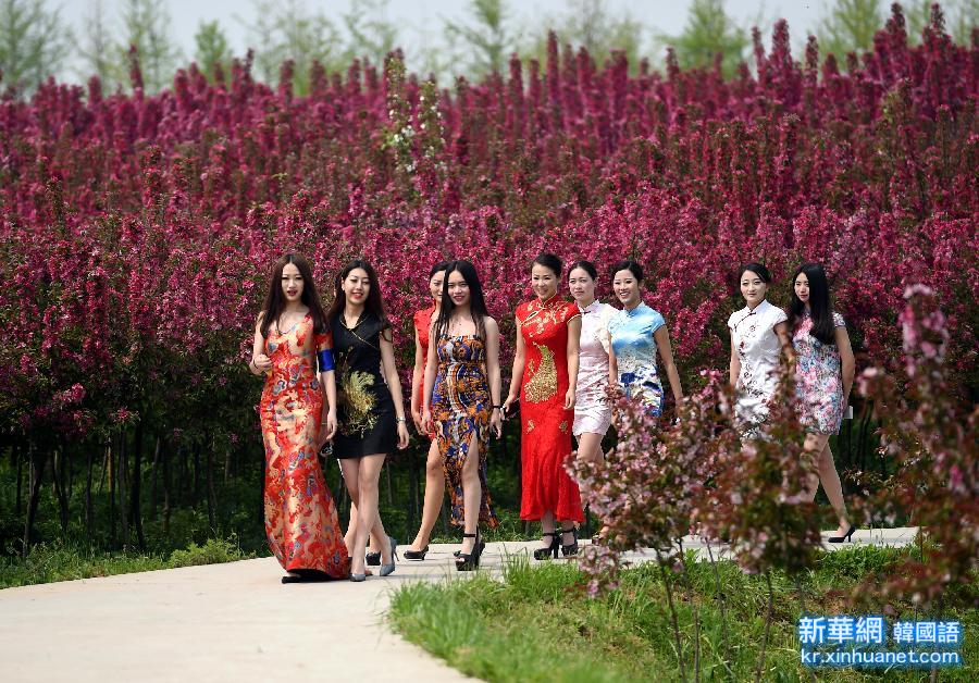（晚报）（1）南京：模特走秀农家海棠园