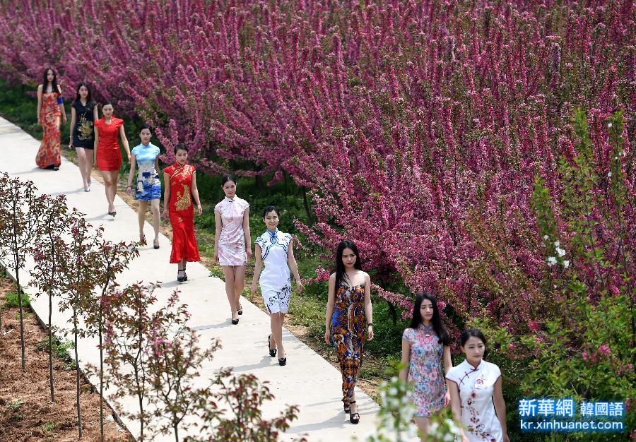 （晚报）（2）南京：模特走秀农家海棠园