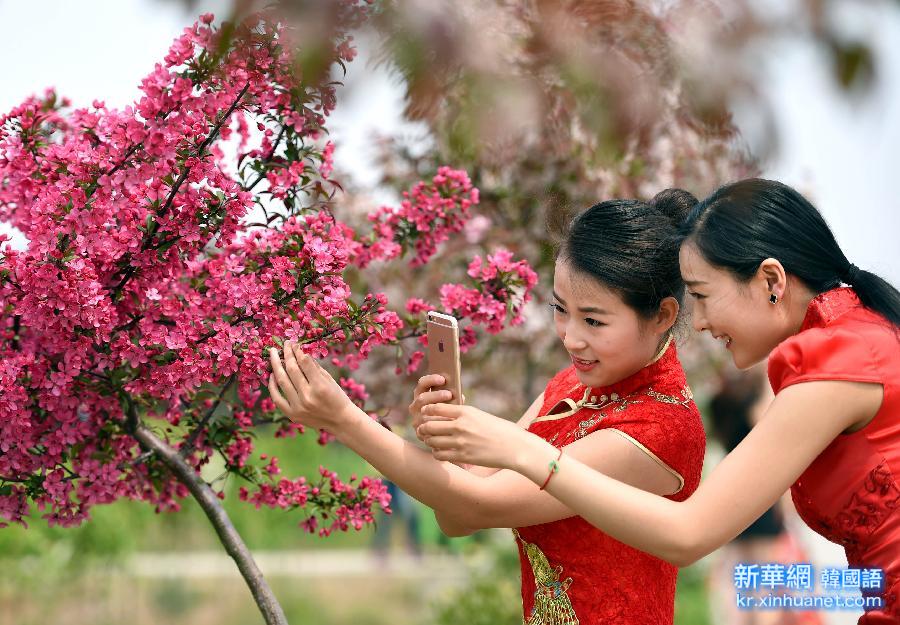 （晚报）（3）南京：模特走秀农家海棠园