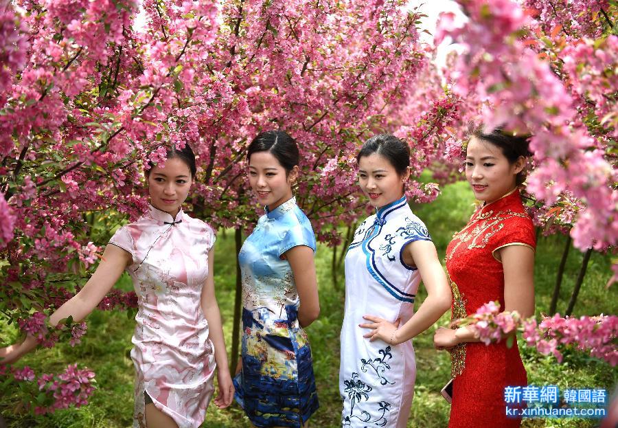 （晚报）（4）南京：模特走秀农家海棠园