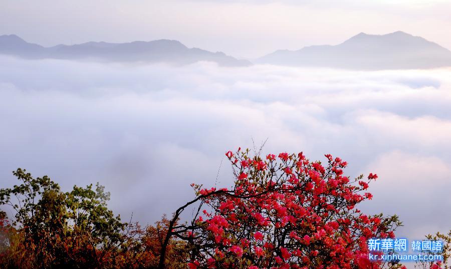 （美丽中国）（3）山花烂漫屋脊山