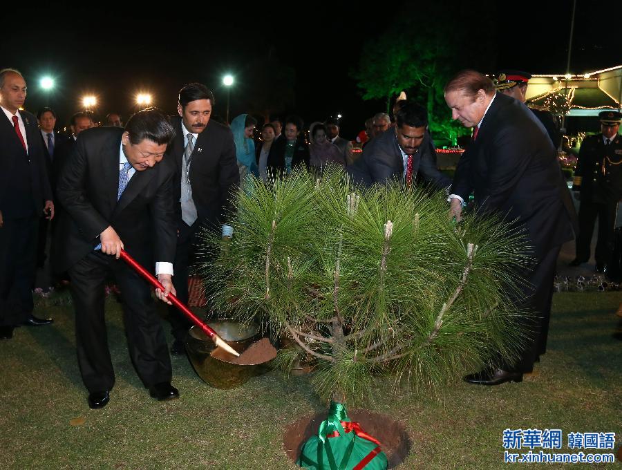 （时政）习近平与巴基斯坦总理谢里夫种植友谊树 