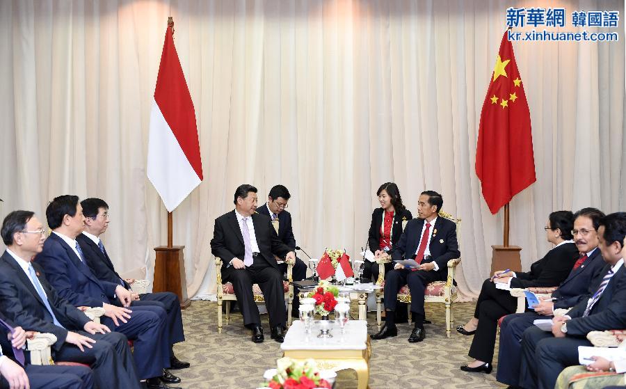 （时政）习近平会见印度尼西亚总统佐科