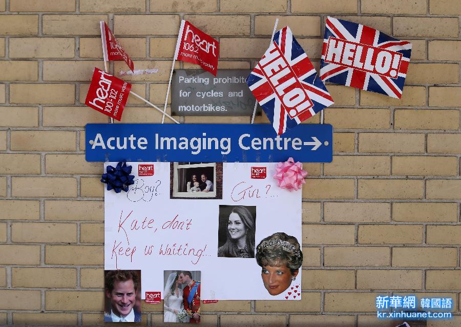 （晚报）（1）英国王室粉丝等待凯特王妃产讯
