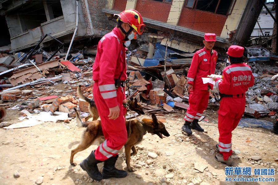 （国际·图文互动）（2）中国救援队的“神犬奇兵”