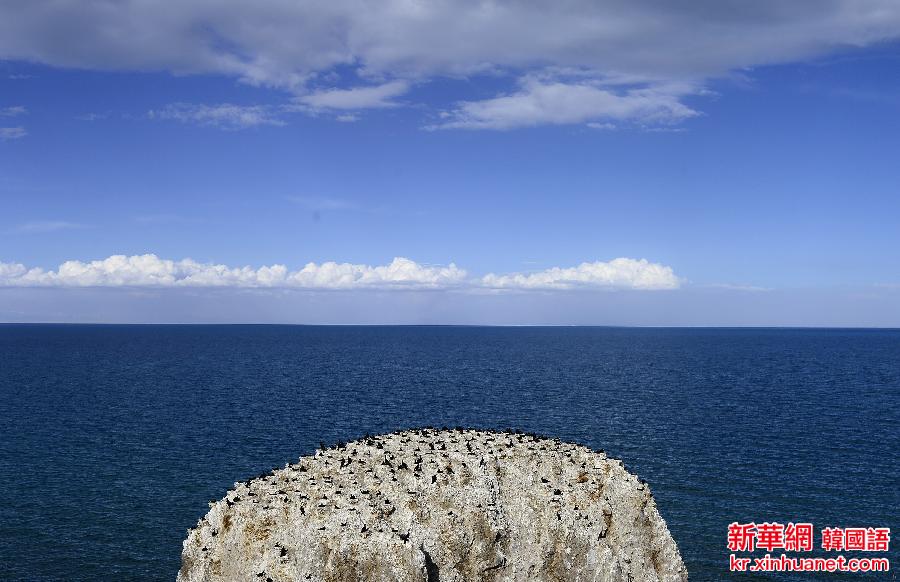 （美丽中国）（3）青海湖——鸟的天堂