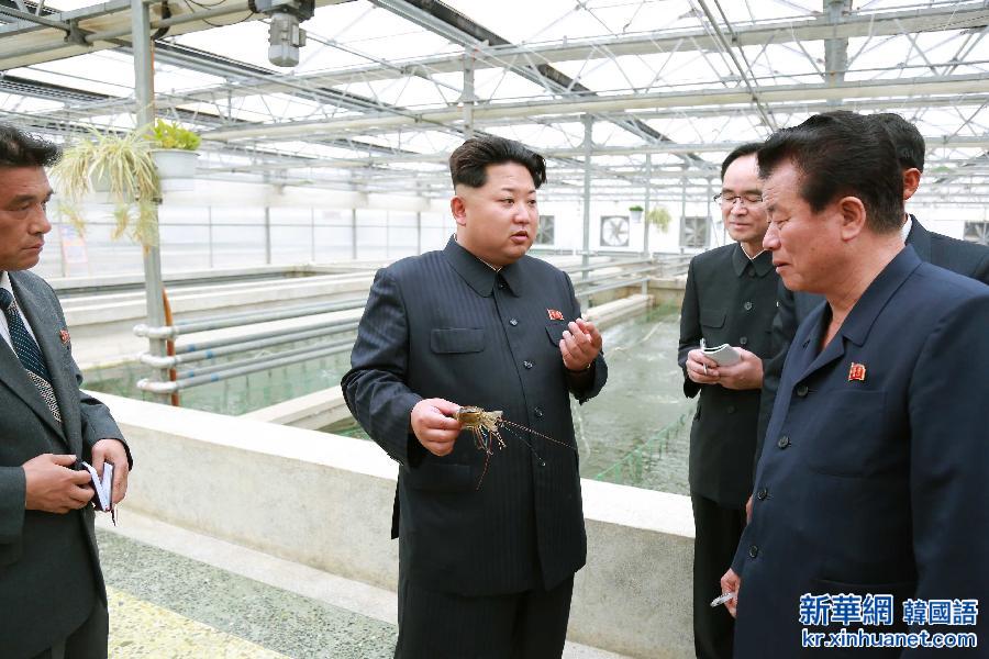 （国际）（2）金正恩视察朝鲜大同江甲鱼养殖场