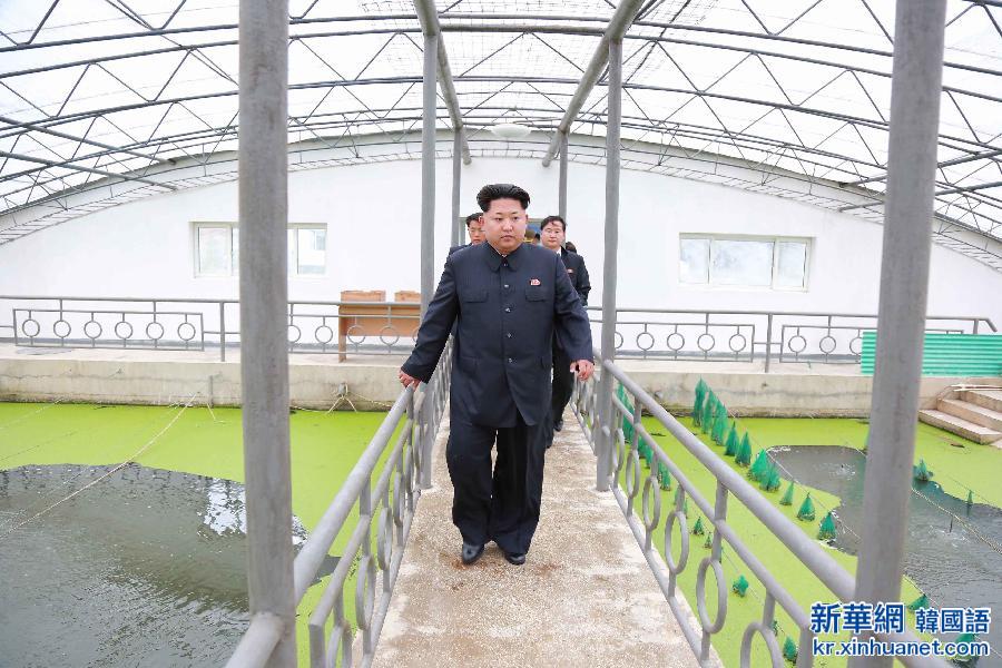 （国际）（3）金正恩视察朝鲜大同江甲鱼养殖场