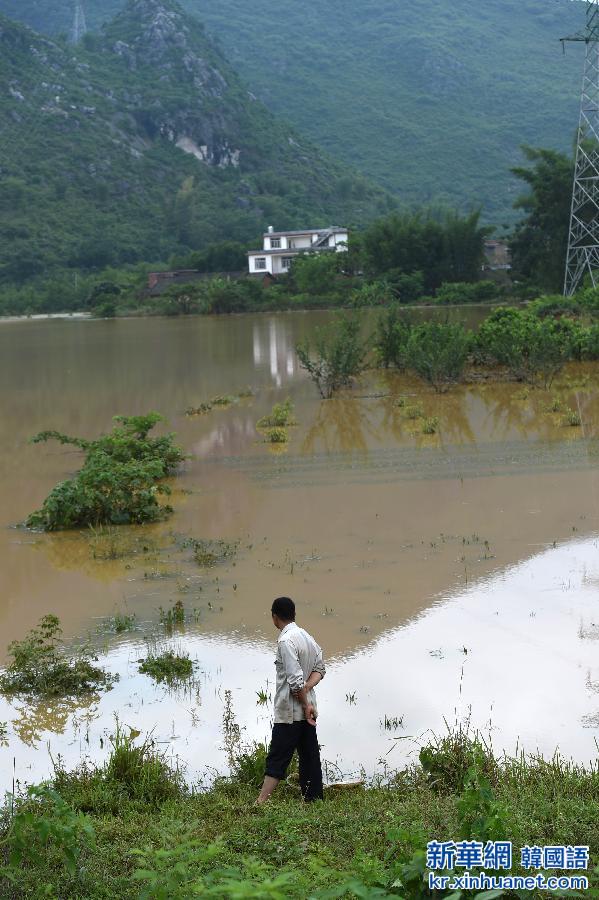 （生态）（1）新一轮强降雨造成广西4人死亡 80余万人受灾