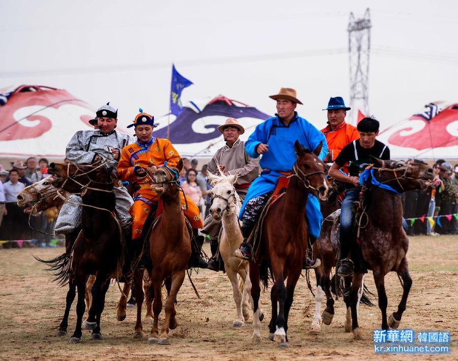 （晚报）（4）苏尼特草原牧民欢庆珍珠节