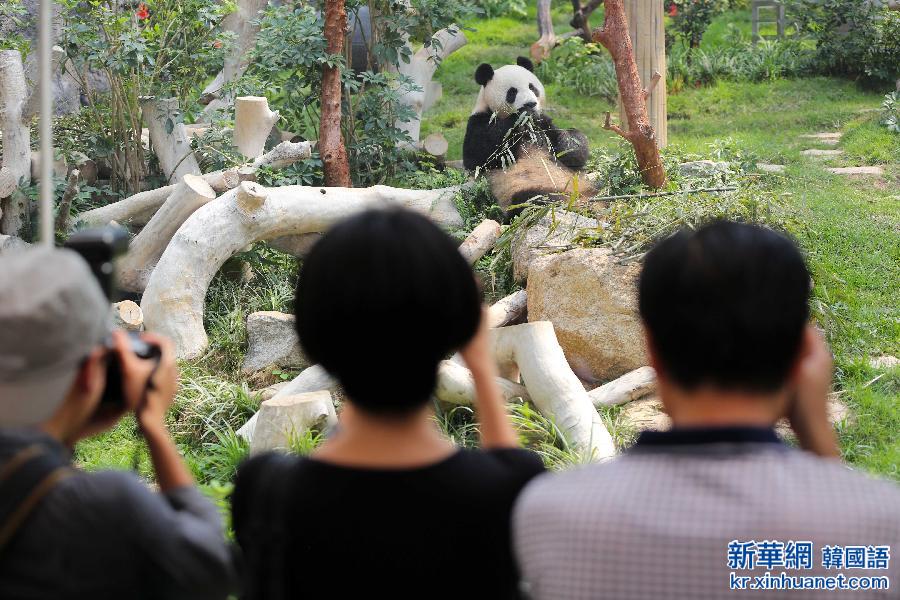 （社会）（1）大熊猫“开开”“心心”率先与澳门学生见面