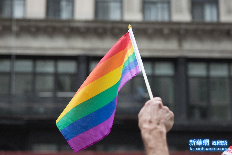 （XHDW）（4）纽约举行同性恋大游行