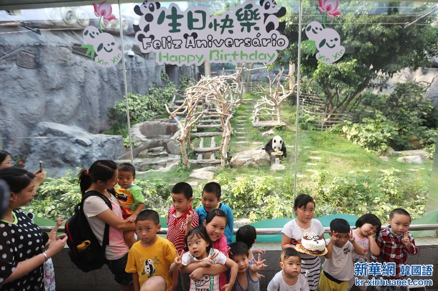 （社会）（1）中央赠澳门大熊猫“心心”迎八岁生日