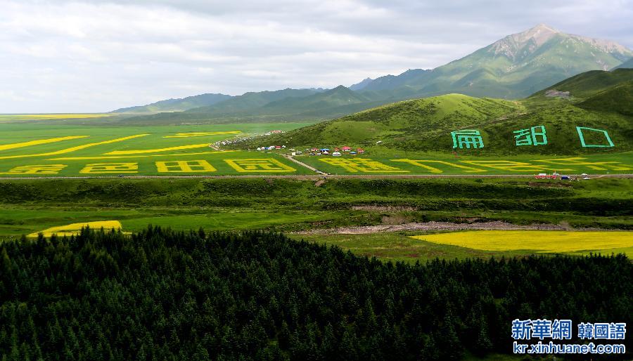 #（美丽中国）（6）甘肃民乐油菜花海燃情盛夏