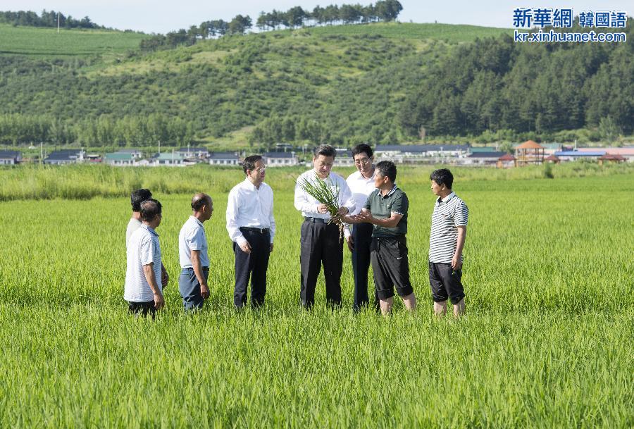 （时政）（4）习近平在吉林调研