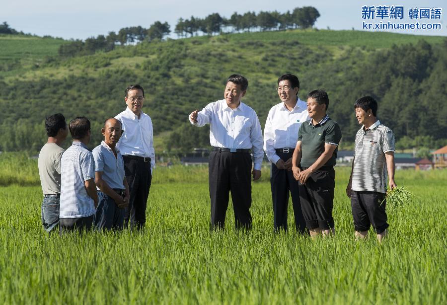 （时政）（5）习近平在吉林调研