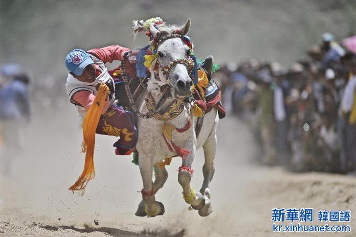（体育）（1）赛马——西藏“望果节”赛马表演