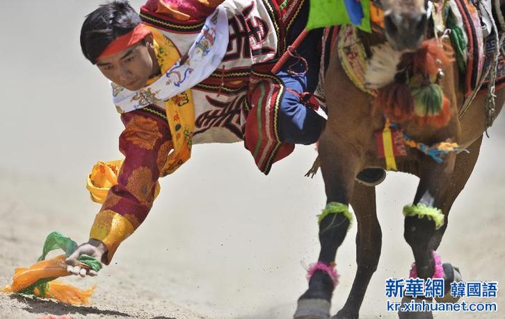 （体育）（2）赛马——西藏“望果节”赛马表演