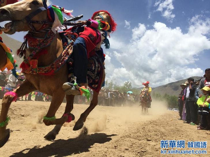 （体育）（3）赛马——西藏“望果节”赛马表演
