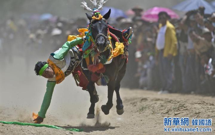 （体育）（4）赛马——西藏“望果节”赛马表演