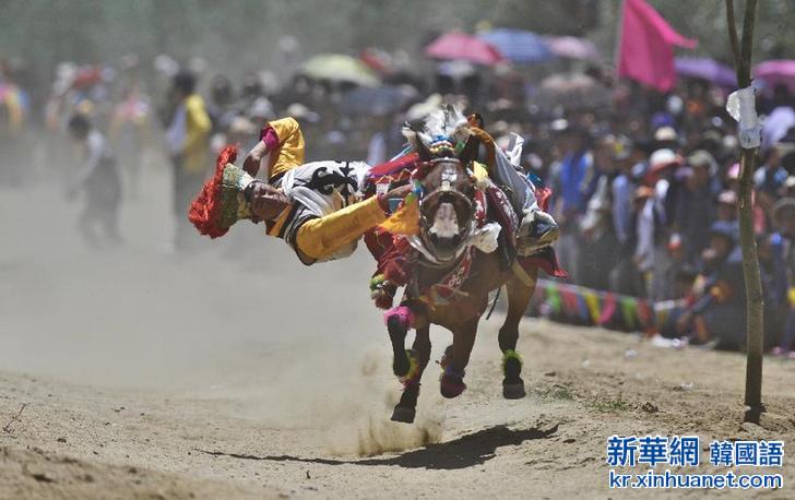 （体育）（5）赛马——西藏“望果节”赛马表演