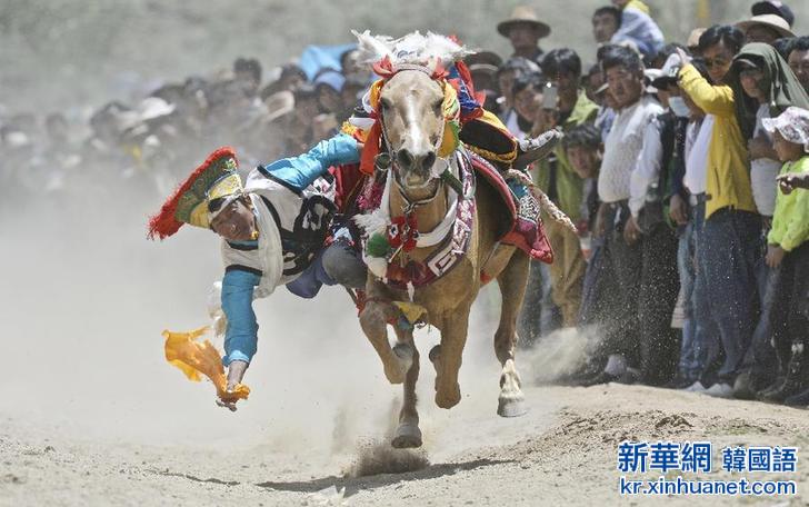 （体育）（7）赛马——西藏“望果节”赛马表演