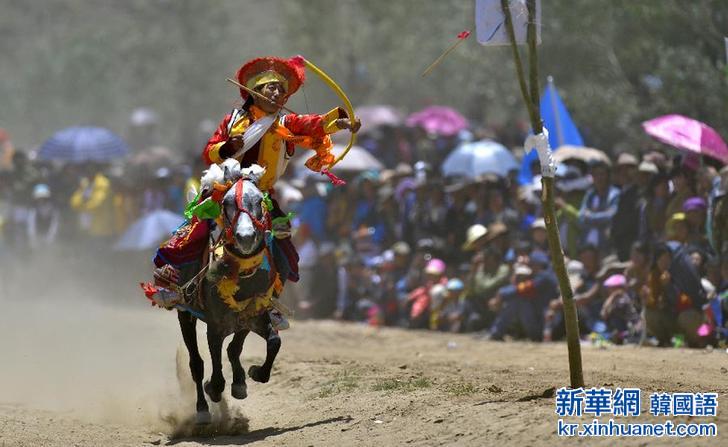 （体育）（8）赛马——西藏“望果节”赛马表演
