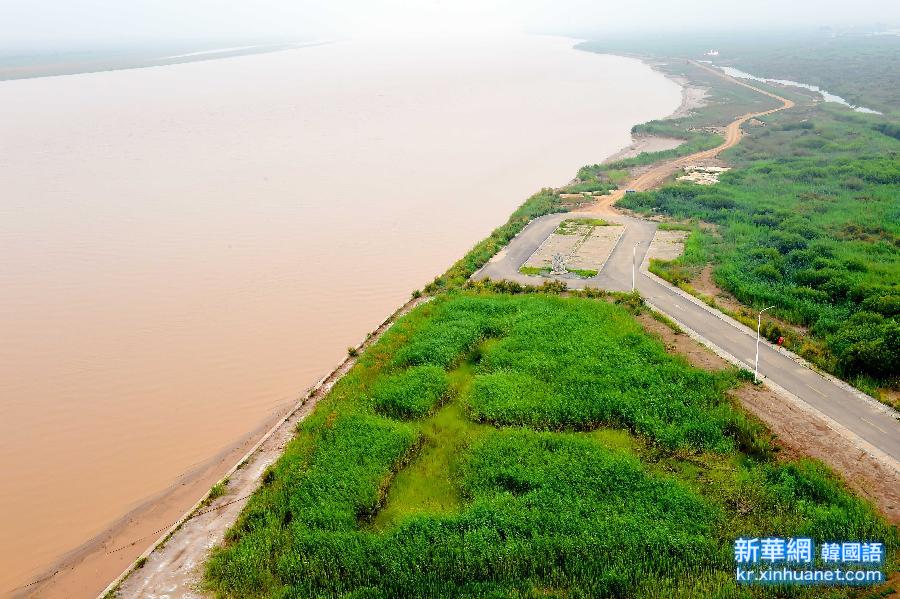 （大江大河）（1）黄河入海口生态环境改善